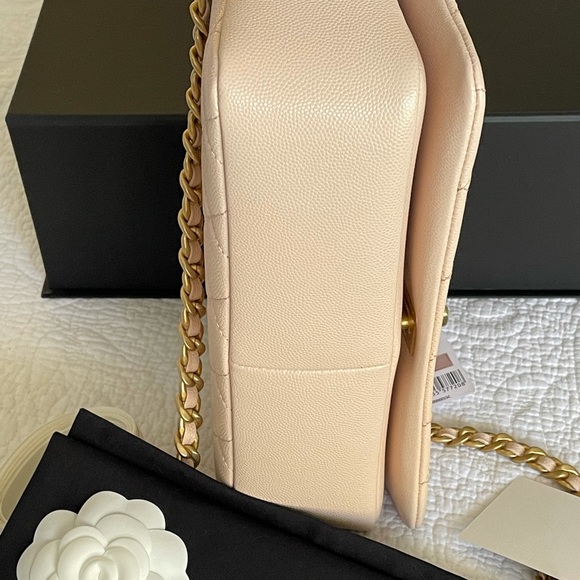 ‼️SOLD‼️Chanel 20A Fashion Therapy Medium Flap - Picture 7 of 13